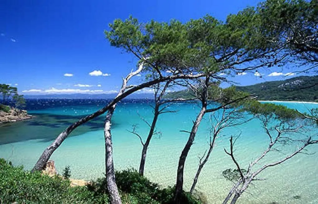 Vue Mer 3 Mn A Pied De La Plage Lumineux Et Moderne Lejlighed Bandol 0*,  Frankrig